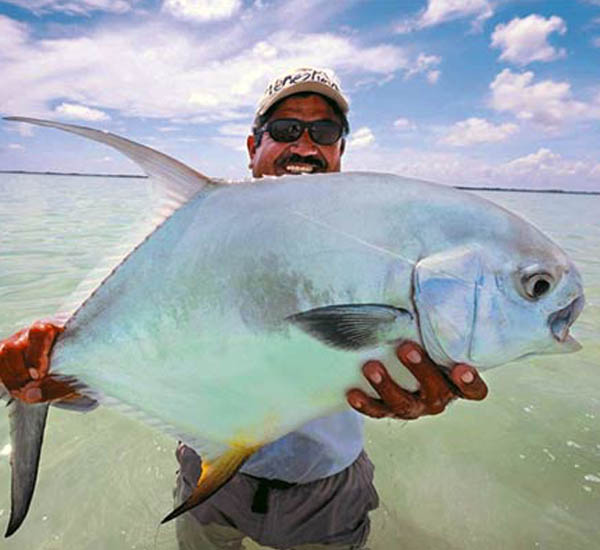 Der fang eines Permit ist für viele Salzwasserfliegenfischer ihr großer Traum